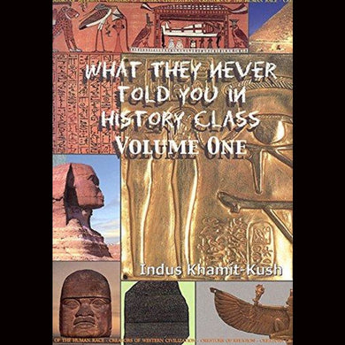 What They Never Told You In History Class Volume One Paperback $25.99