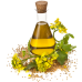 Mustard Seed Essential Oil