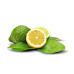 Bergamot Essential Oil