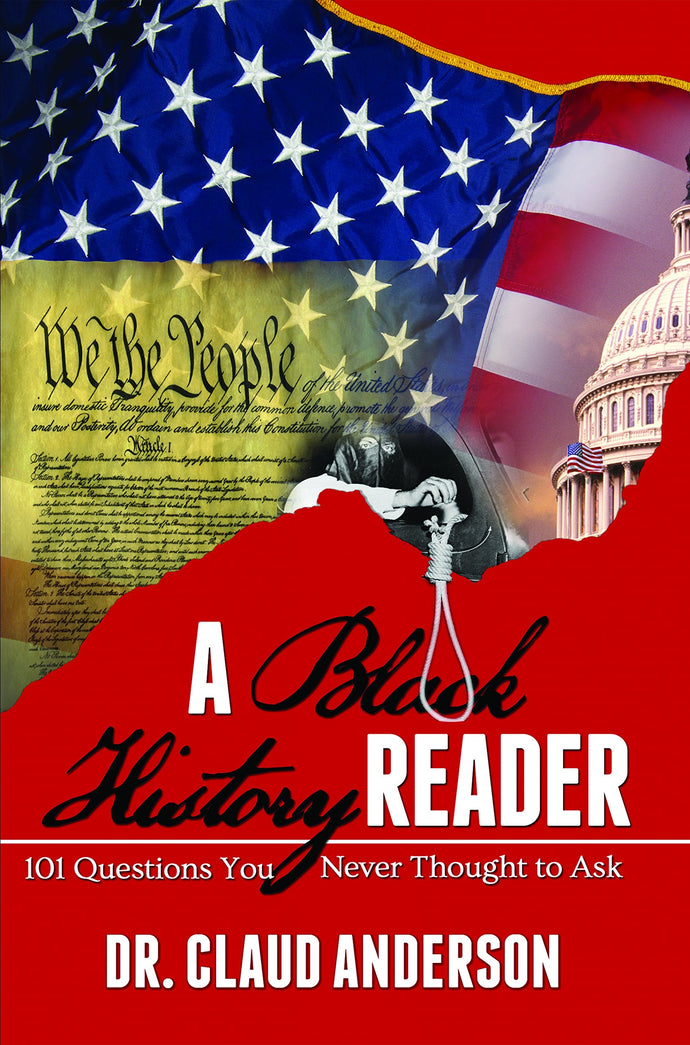 A Black History Reader: 101 Questions You Never Thought to Ask by Dr. Claud Anderson