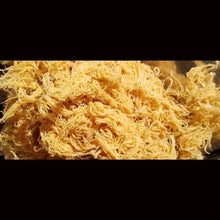 Load image into Gallery viewer, One Ounce of Sea Moss Gold Raw (Dr Sebi Approved)
