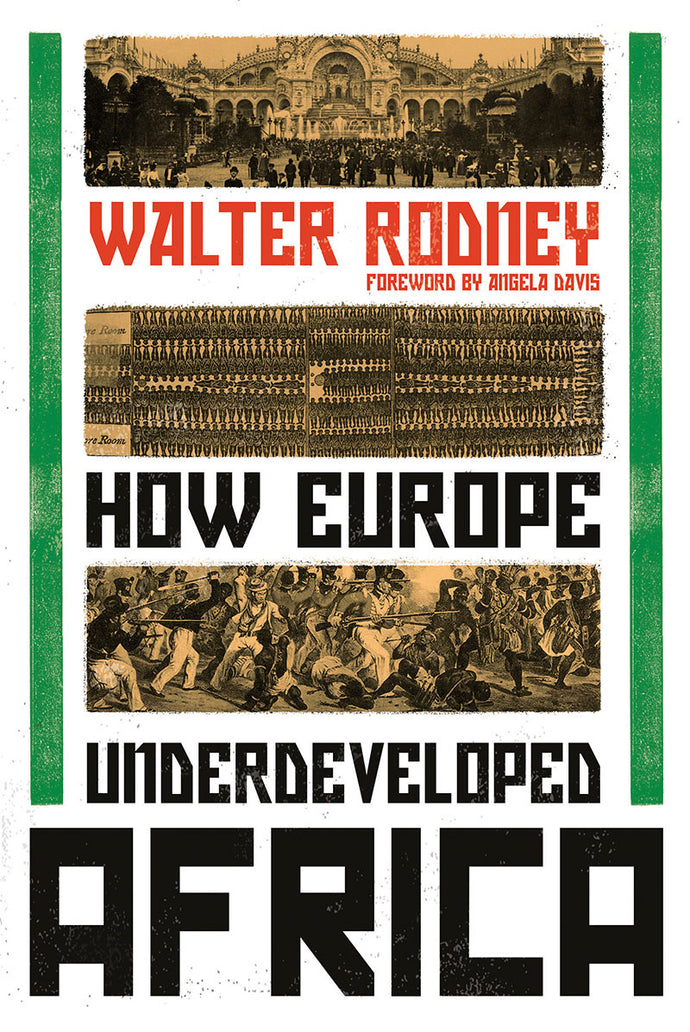 How Europe Underdeveloped Africa By Walter Rodney